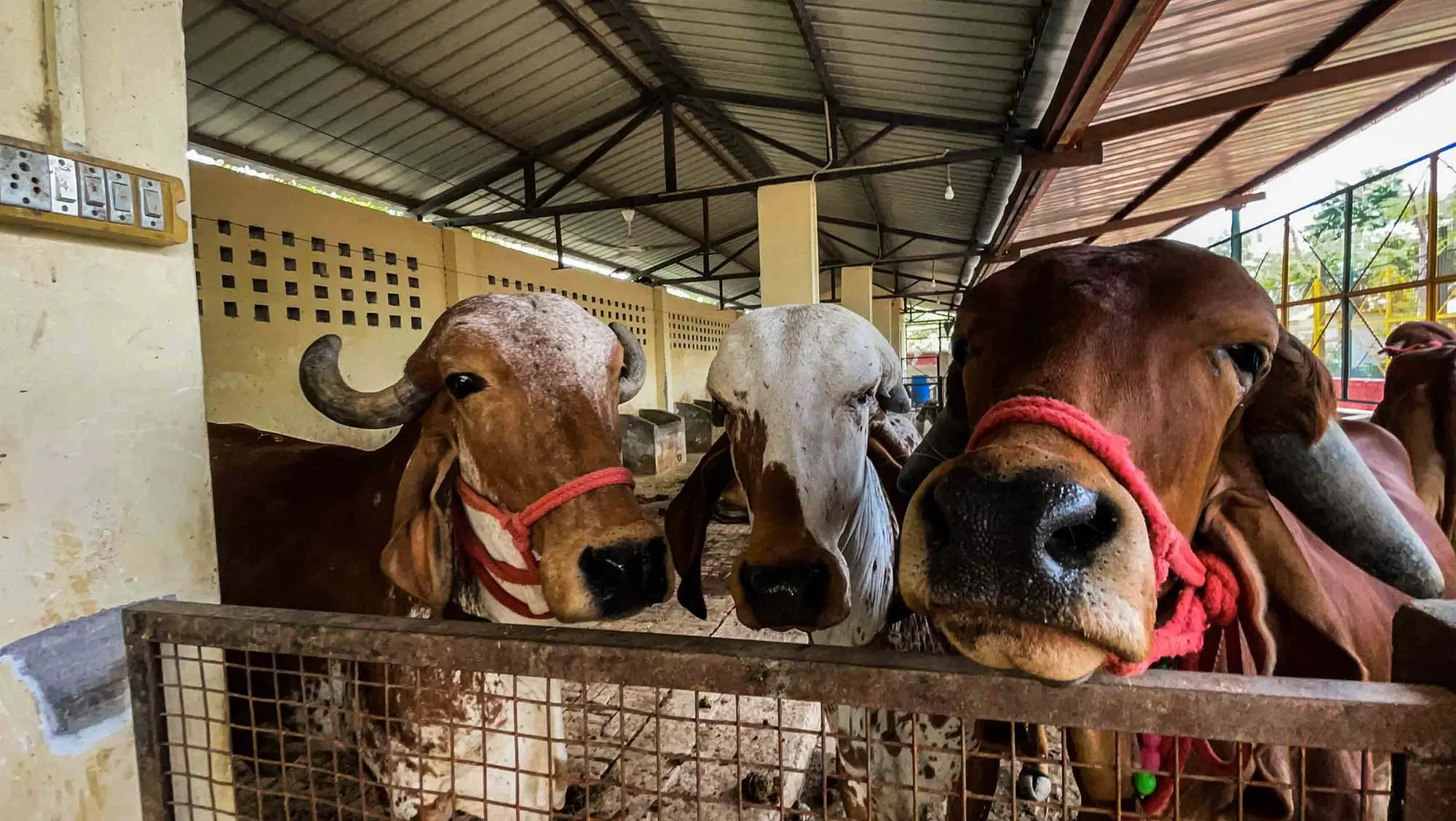 top places to visit in ghaziabad